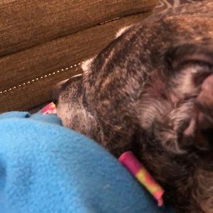 Meet your Posher, Christy